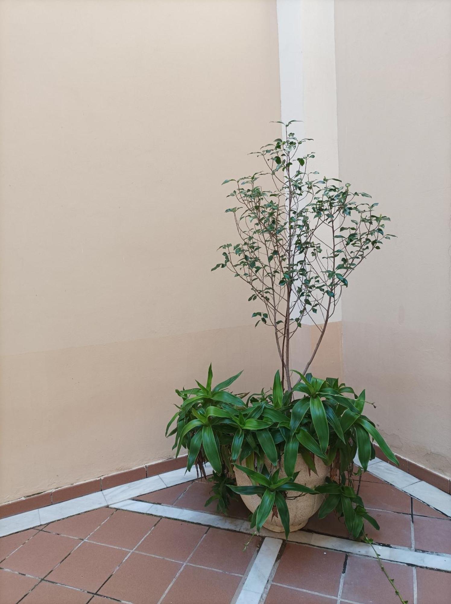 Apartamento De Lux Sevilla Este Exterior foto